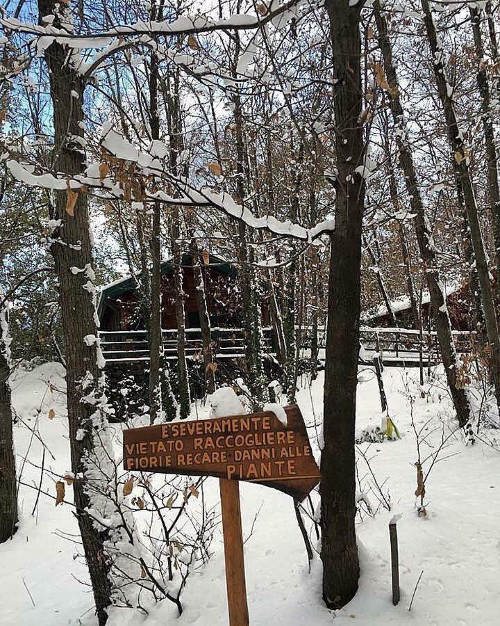 Chalet Etna 밀로 외부 사진