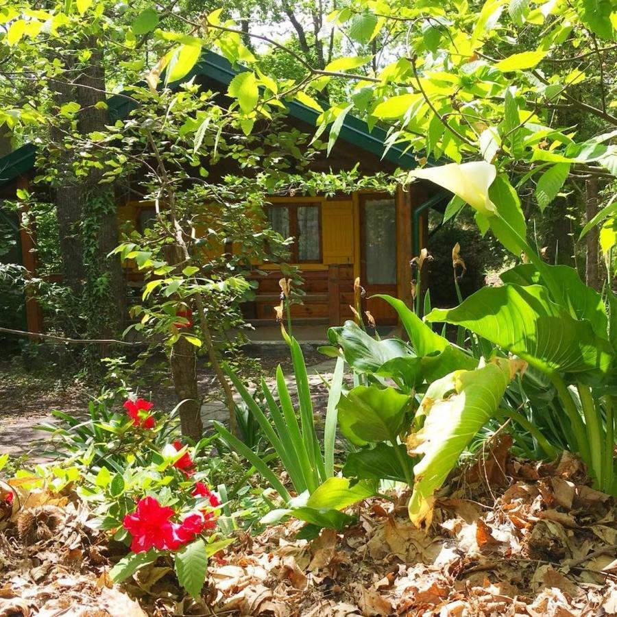 Chalet Etna 밀로 외부 사진